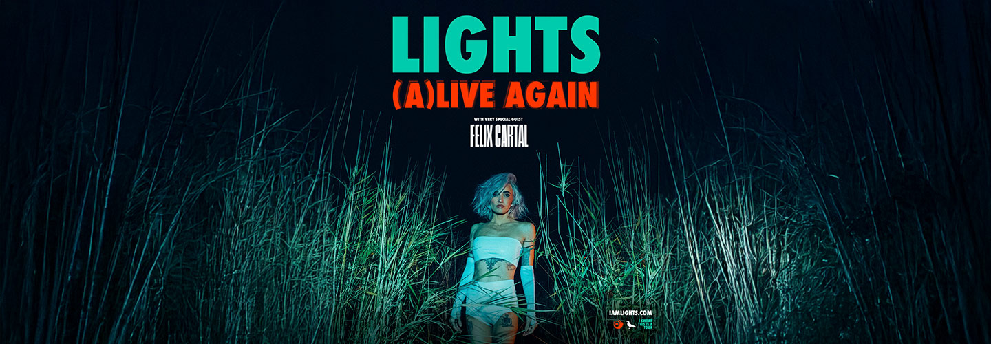 Lights Lights