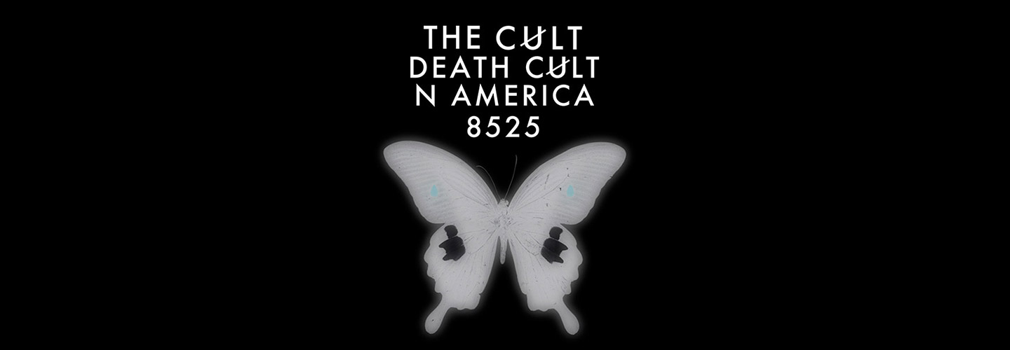 The Cult
