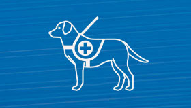 Service Animal