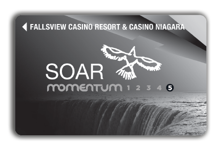 Soar Hawk Momentum Card