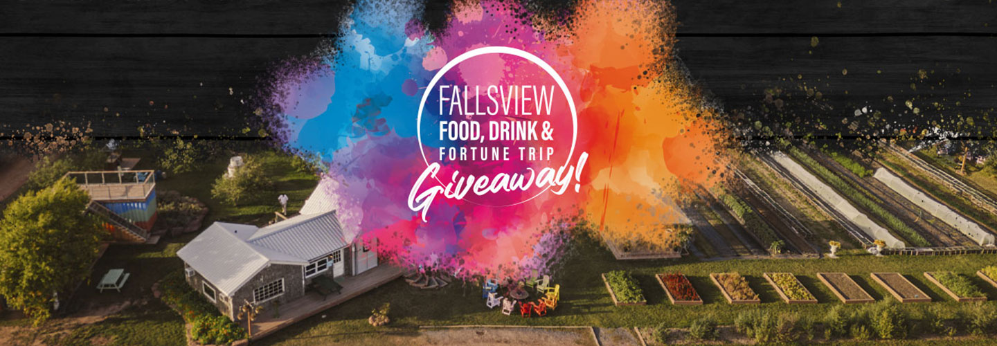 FFDF Fortune Trip Giveaway