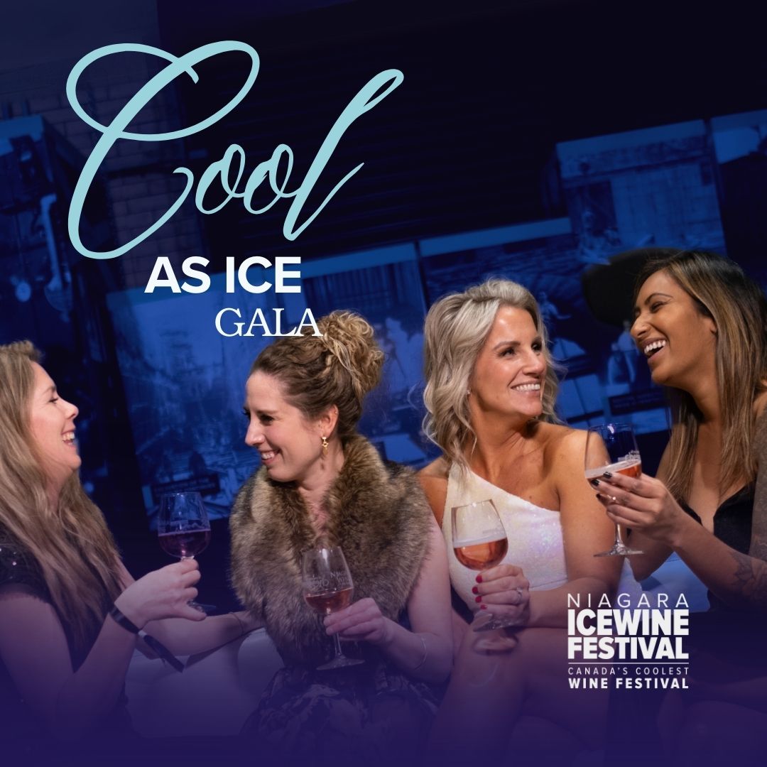 Cool as Ice Gala