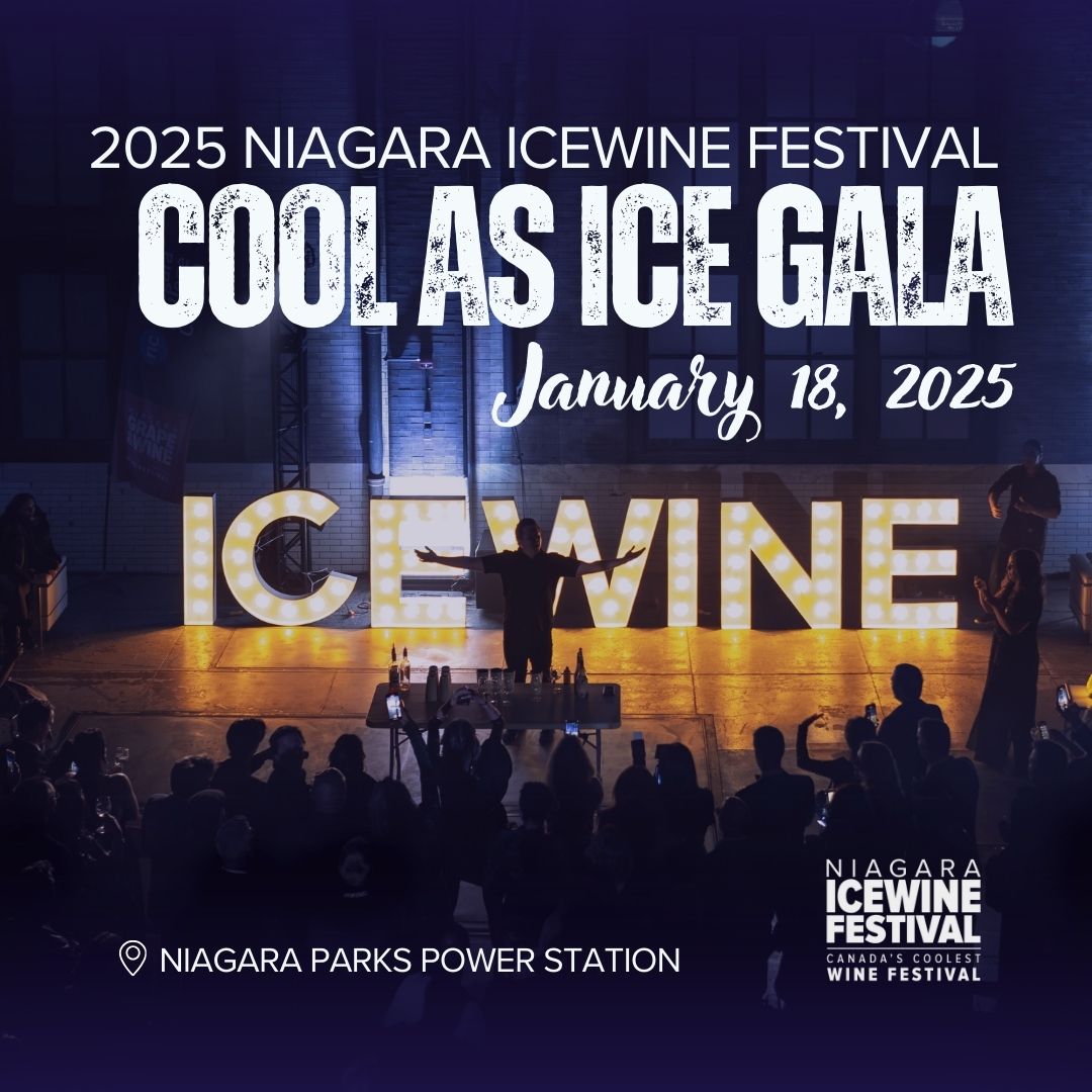 Cool as Ice Gala