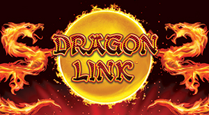 dragon link logo